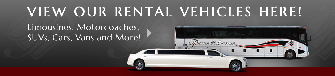 rental vehicles motorcoach and limo micrographic 1